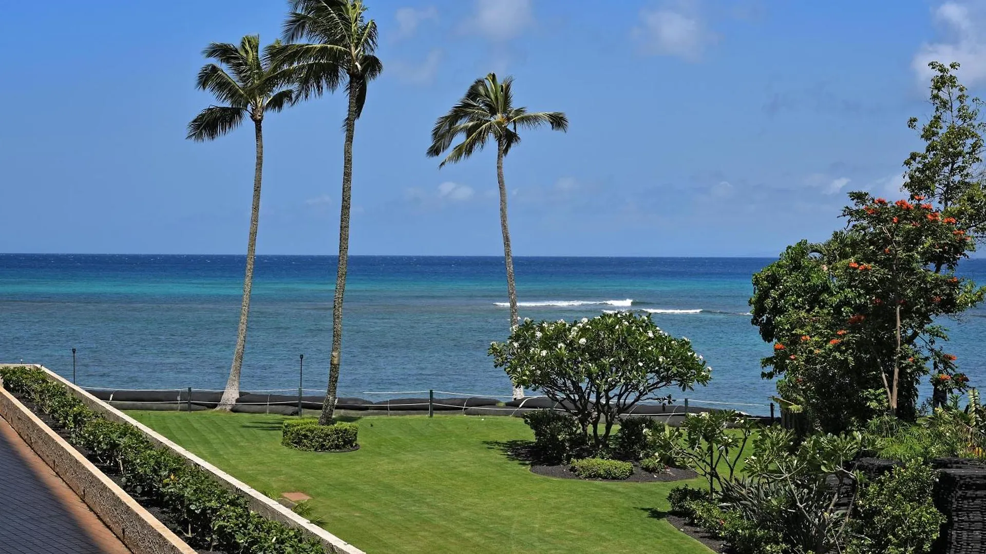 Royal Kahana 616